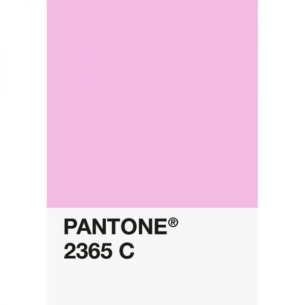 Pantone PLA 2365C