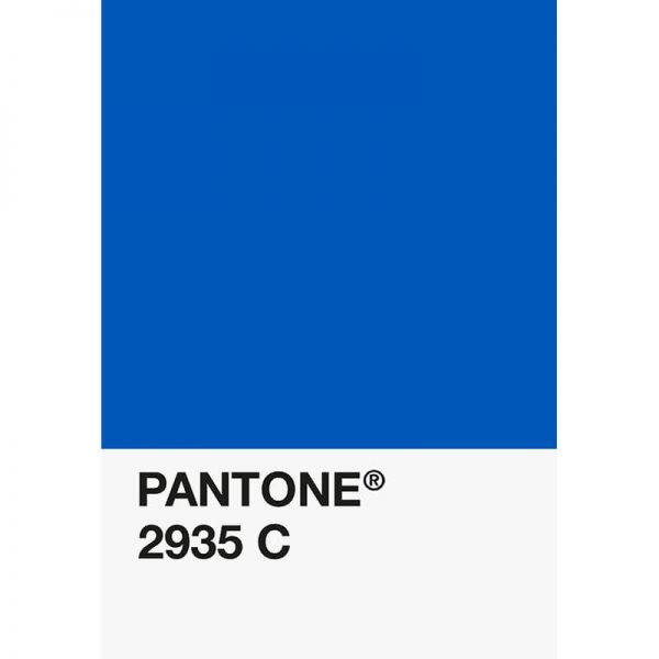 Pantone PLA 2935C