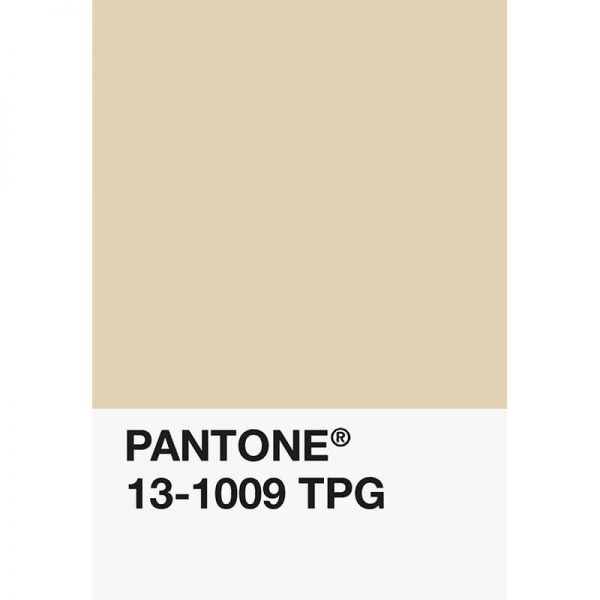 Pantone PLA 13-1009 TPG