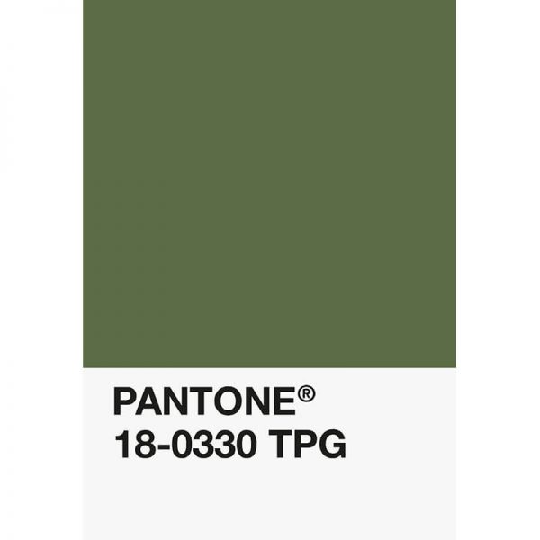 Pantone PLA 18-0330 TPG