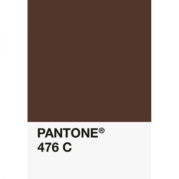 Pantone PLA 476C