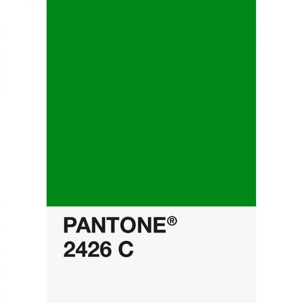 Pantone PLA 2426C