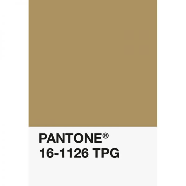 Pantone PLA 16-1126 TPG