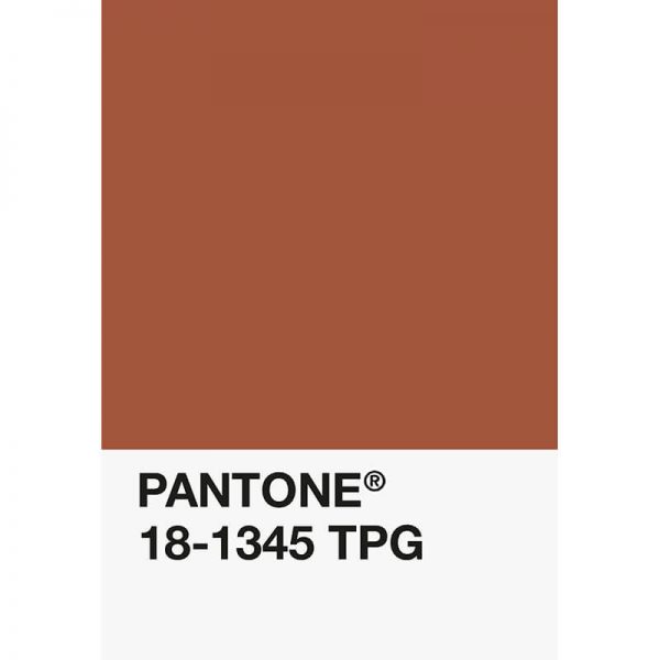 Pantone PLA 18-1345 TPG