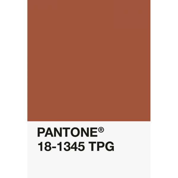 Pantone PLA 18-1345 TPG