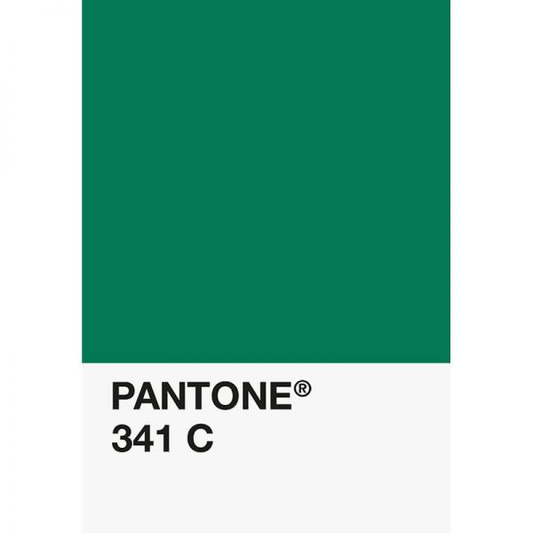 Pantone PLA 341C