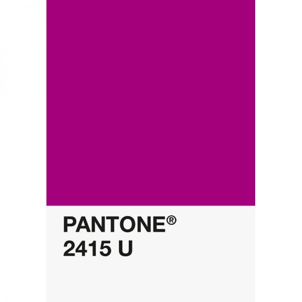 Pantone PLA 2415U